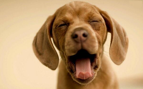JustTheGood's tweet image. Good Morning and Happy Monday #yawn