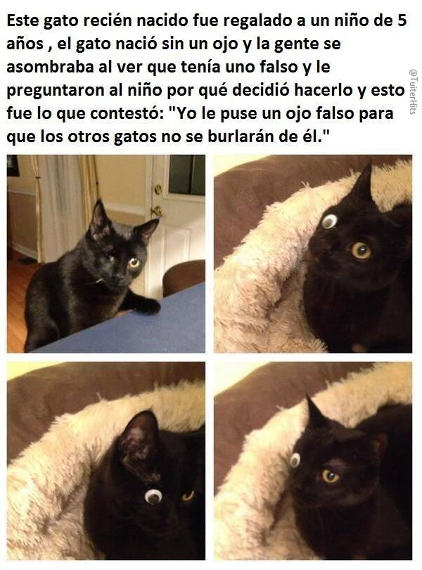 TuiterHits's tweet photo. ESTO MERECE MUCHOS RTS http://t.co/DB3RMlOqJv