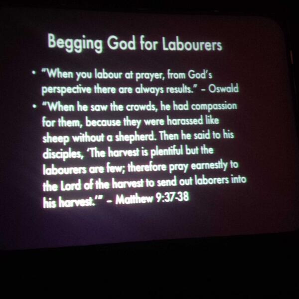 everseriousjill's tweet image. Begging God for labourers. #p2cplusTO