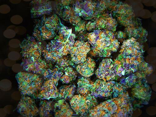 HIGH_TIMES_Mag's tweet photo. #Happy420 from us at @HIGH_TIMES_Mag! #TechnicolorNugs? - http://t.co/ipdkSQf5M4 http://t.co/hMQLtOfyMZ