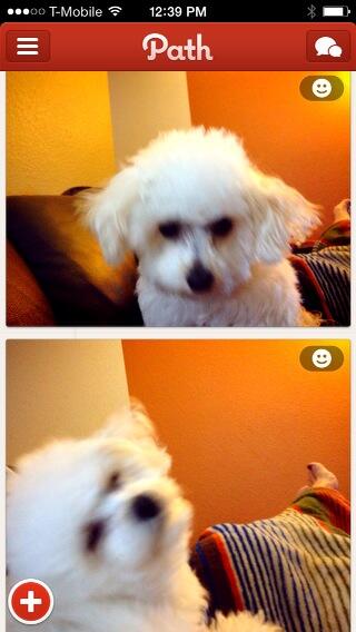 adegracegarza's tweet photo. http://t.co/ZY83mHNFdk