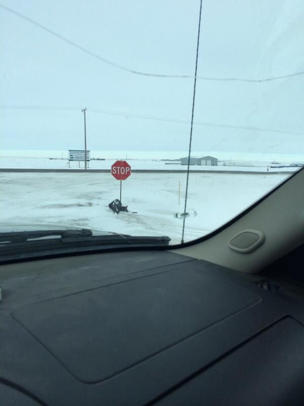 CityOKindersley's tweet photo. Job #0977- Plan of action: install proper stop sign. 
Estimated time of completion: 17 weeks. http://t.co/nGwddRY3vj
