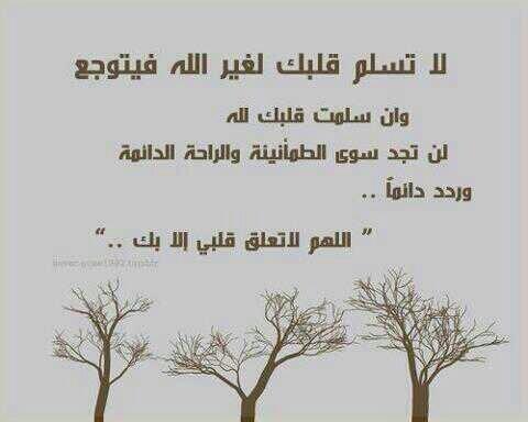 MfbKsa2013's tweet photo. http://t.co/y01bVkxudy
