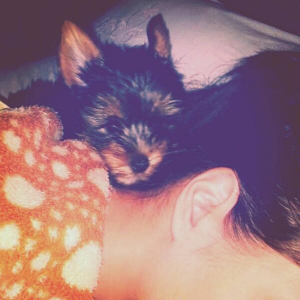 OnFjolla's tweet photo. ky m'don!! http://t.co/H1zushJ6NZ