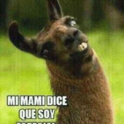 DiegoGuzmnRiver's tweet image. ¡Hola mundo! #nuevafotodeperfil