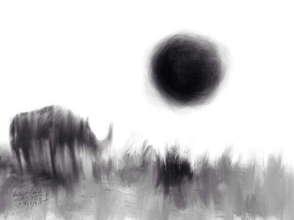 Number: 364/365
2013