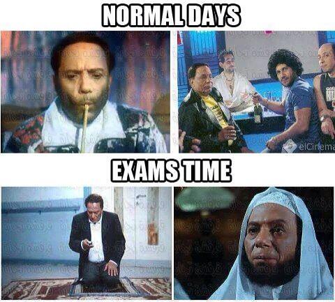 thingsarabslike's tweet image. Lol