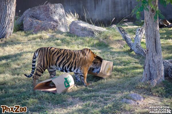 UCF Knights 🌴 tweet media