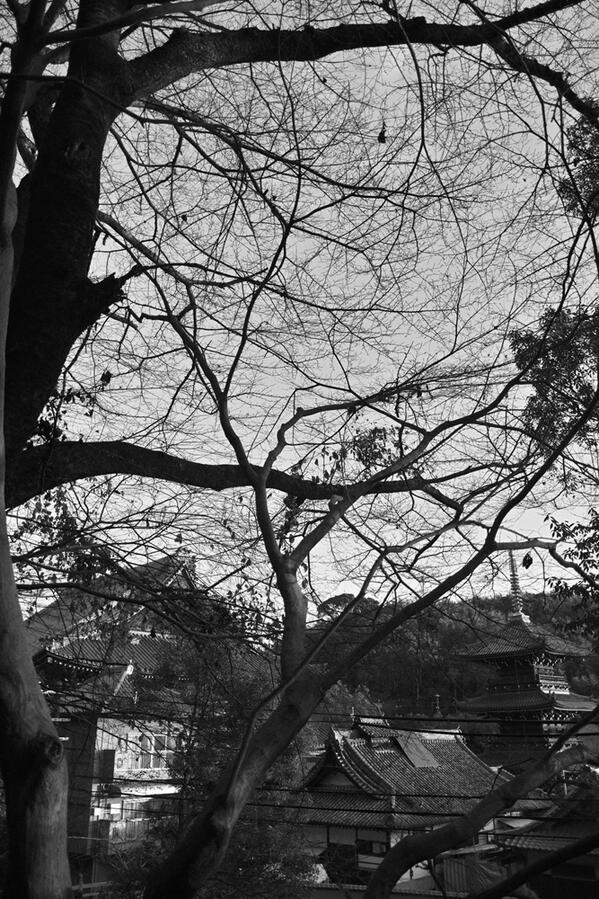 SIGMA DP1 Merrill 
f/2.8 1/400sec ISO-100
朝散歩。 