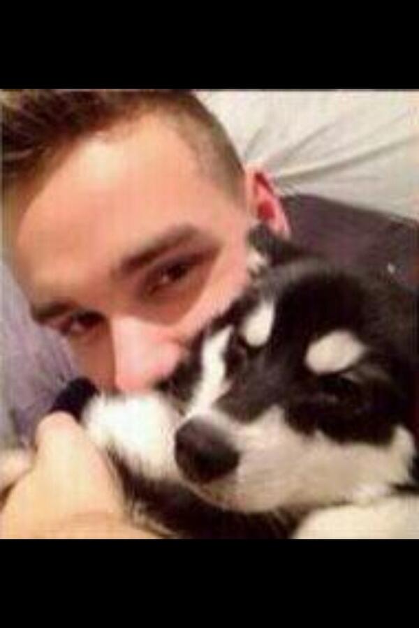1DSuperReport's tweet photo. This is the picture that Danielle put in her collage ❤️😩 #Payzer http://t.co/amltsbw5Xq