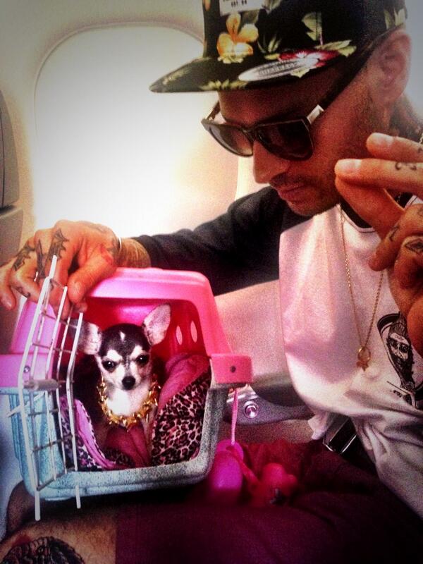 mverdelhomv's tweet image. Ae pessoal se liga no style da peteca