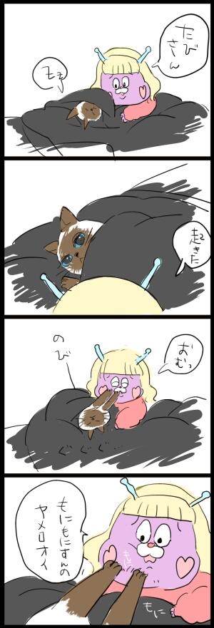 昨日の朝のはなし 