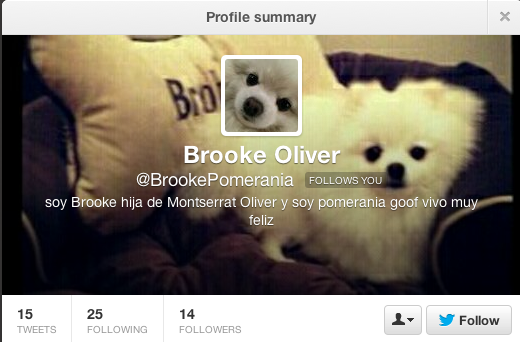 Montserrat33's tweet photo. @BrookePomerania jajajaja quien abrió esta cuenta de mi Brooke???? http://t.co/AnZOg5v6AK