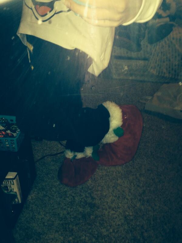 camrynmarcucci's tweet image. Shouting at you live through my elf shoes #elfproblems #dobby