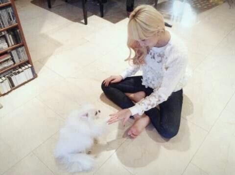 Bcyu6rXIAAAMGvR.jpg:large