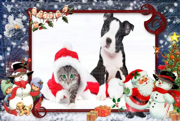 AnimalMenu's tweet image. Feliz año 2014 a todos !!