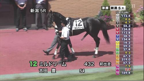 ヒモトカゲ A Twitteren Tlが見事にガキ使ですが ここで馬の勃起を見てみましょう Http T Co Bvekrbj8tq ヒモトカゲ A Twitteren Tlが見事にガキ使ですが ここで馬の勃起を見てみましょう Http T Co Bvekrbj8tq