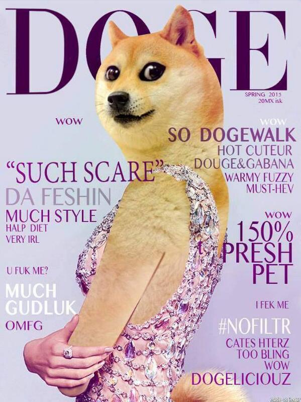 TeenDoge's tweet photo. Wow much style, so fashin. #Doge #TeenDoge http://t.co/9rYUexGNjg