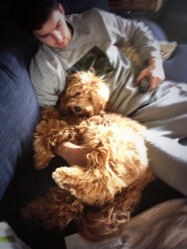 lindsayckelly's tweet image. Spoiled brat. #scratchtime