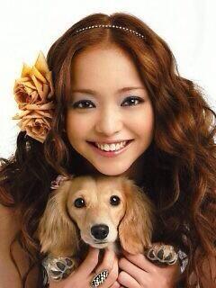 star_meigen's tweet photo. 大切な家族や自分の生き方を、安室奈美恵の犠牲にはさせない。

安室奈美恵 https://t.co/nj0c2xL5IE
