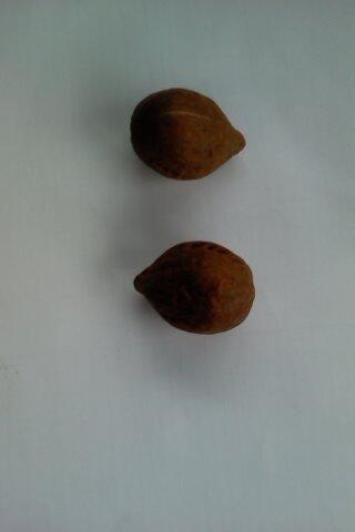 ycking0412's tweet photo. http://t.co/oj9UjvxF9y