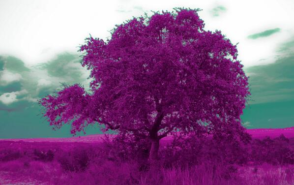 StudioSalazar's tweet photo. @Nas Your music inspires me to seek personal greatness, regardless of personal doubt. #purplestateofmind #obrigado http://t.co/e8zWVky5cb
