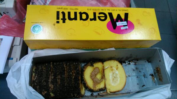 Bolu meranti lagi,,yee