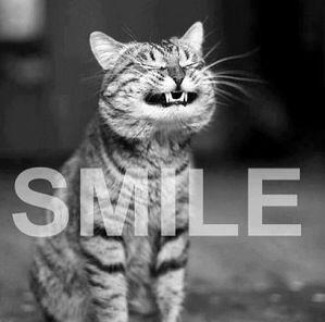 Our mission is to get you smiling today! Retweet for a wake up hello from <a href="/TwinB/">Twin</a> &amp; <a href="/YasminEvans/">Yasmin Evans</a> :-) #RetweetRolecall