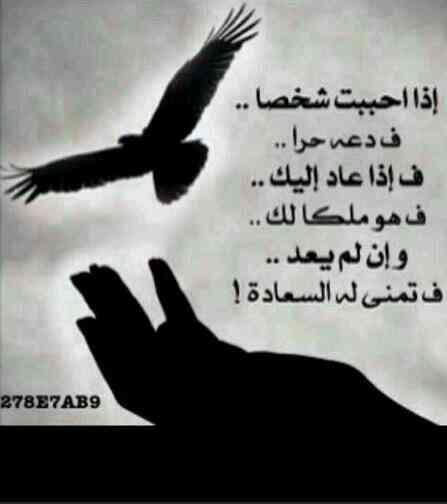 mnif771 tweet picture