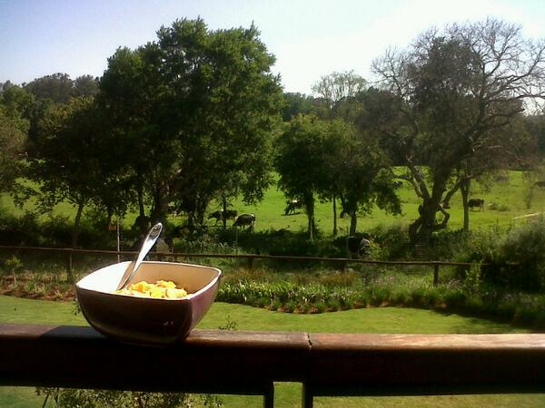 FrankTank_24's tweet photo. How I wanna eat my cornflakes every morning! http://t.co/hUyoWt1OeC