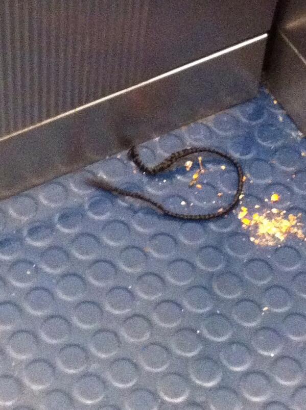 RJB_16's tweet image. @GSUproblem move in day is so stressful #WeeveFound