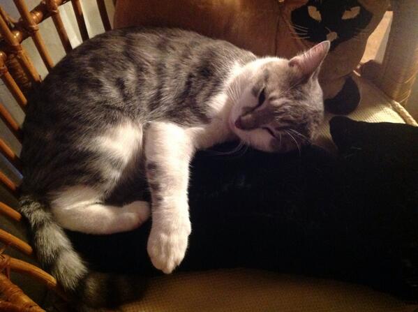 isabellejs1's tweet image. isabellejs