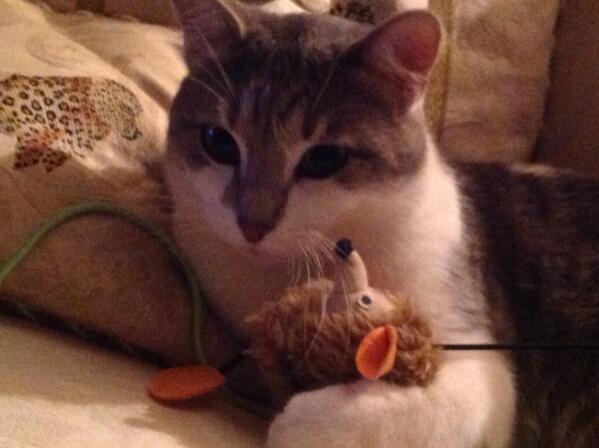 isabellejs1's tweet image. isabellejs