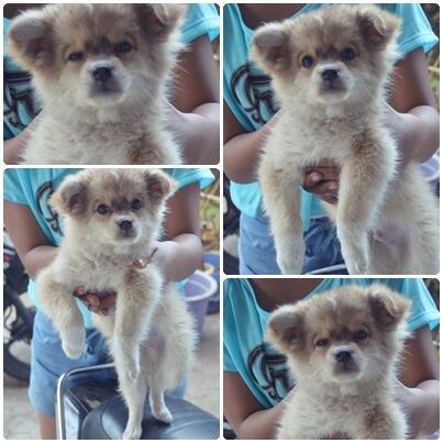 hey Billy! miss u yeah