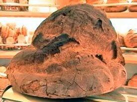 Comune di Altamura tweet media