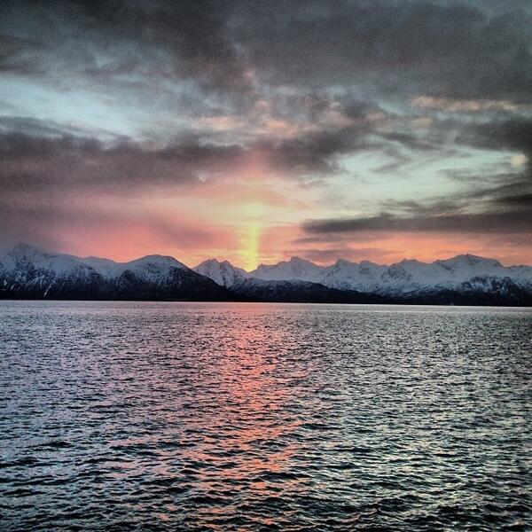 NorwayInstagram's tweet image. #vesterålen #besterålen #sortland #nordland #norway #visitnorway #nature #virikehardetgodt #bærepængansommangla b...