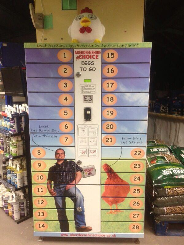 Farmlay Eggs tweet media