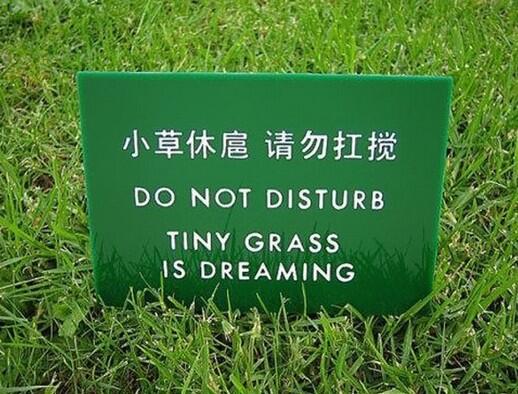 sarahknapton's tweet image. When Chinese - English translation goes adorably wrong...