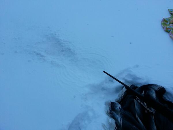 Armspricer's tweet photo. .223 muzzle blast pattern in deep snow! Someone has been having fun, despite the cold! http://t.co/aOaESvxPl4
