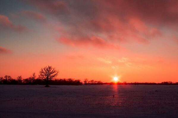 Tree streamzoo.com/i/14637134
