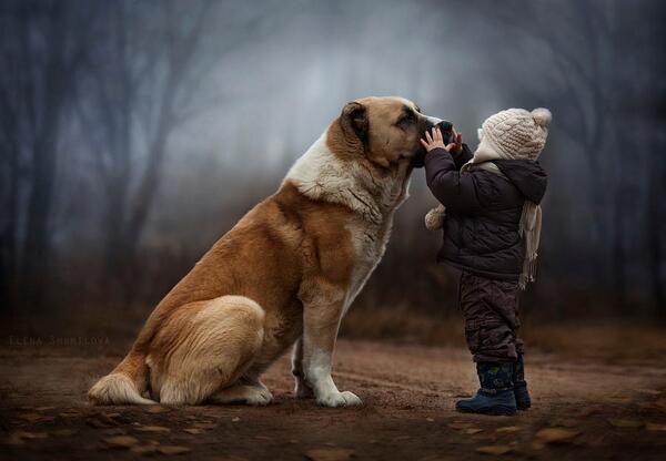 Best Friend by Elena Shumilova