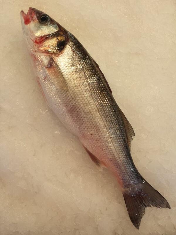 DoncasterFish tweet picture
