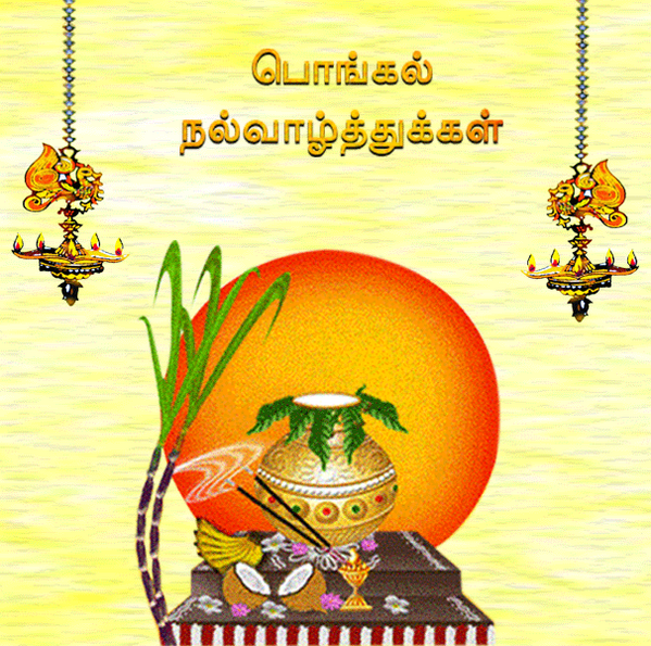 pranesh_sampath's tweet photo. அனைவருக்கும் இனிய பொங்கல் நல்வாழ்த்துக்கள். http://t.co/cjT7sU2Ojq