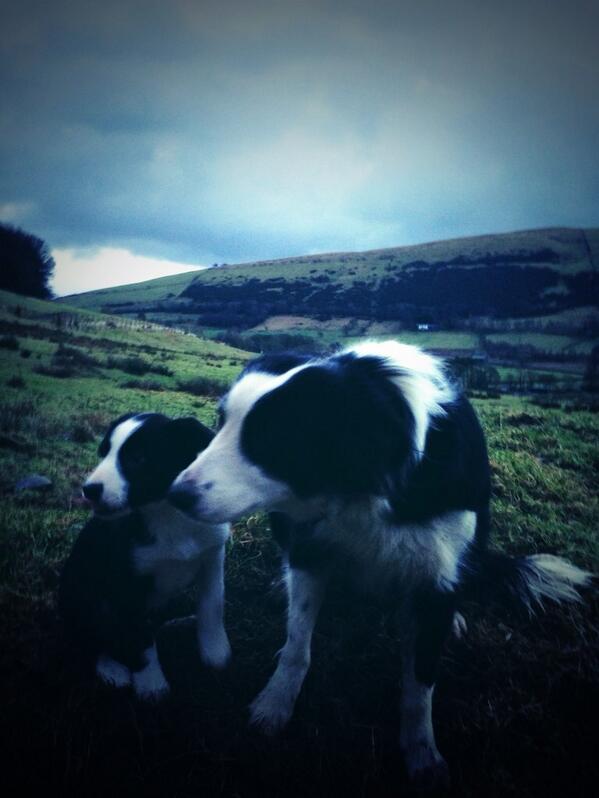 WOW a lot of you seemed to like Floss taking Tan under wing... #flossfanclub