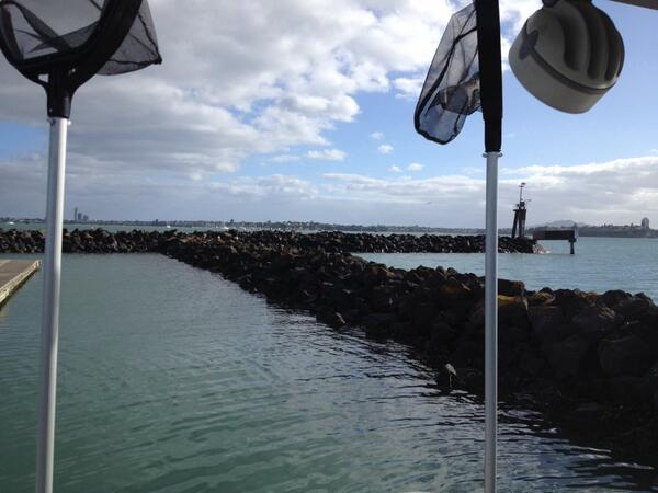 Cleaning close to home: the walls of #westhaven marina.