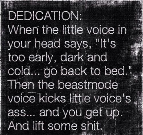 BestProFitness tweet picture