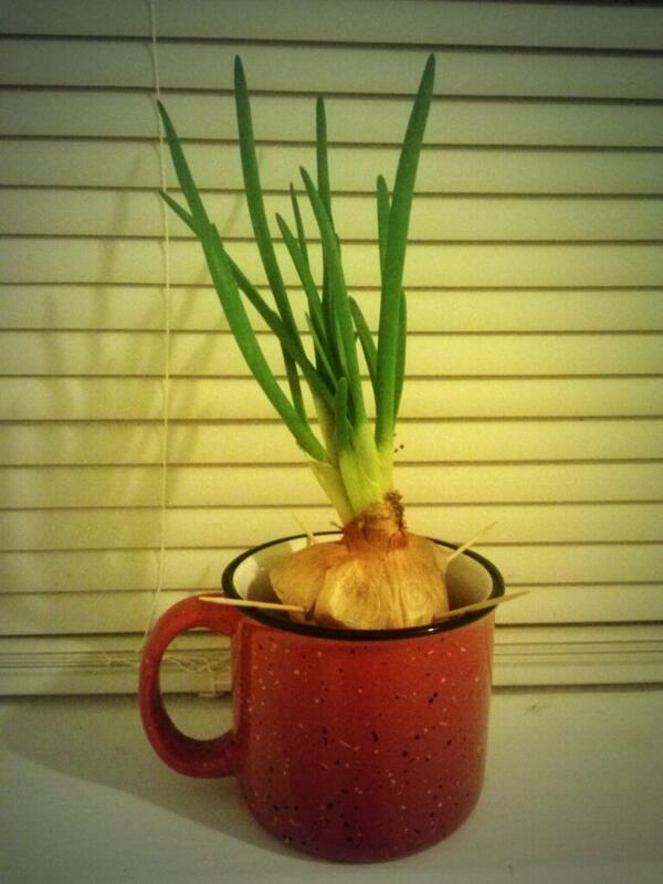 ajkitchen tweet media