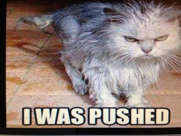 denise_bourassa tweet picture