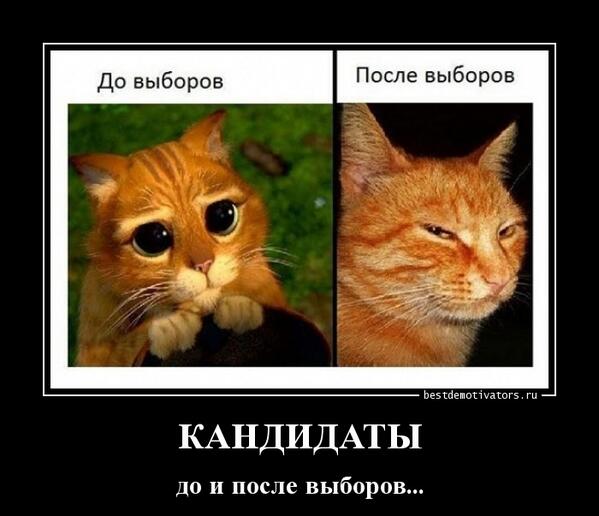 Как изменится жизнь после выборов. Как изменится жизнь после выборов. Как изменится жизнь после выборов. Партийный состав госдумы 8 созыва. Как изменится жизнь после выборов.