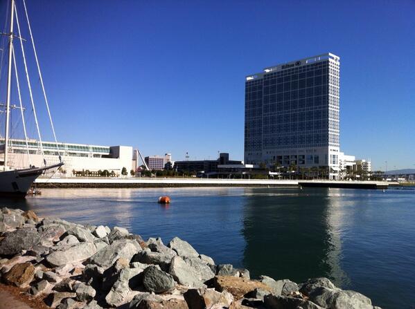 KiddFly_'s tweet image. My view.